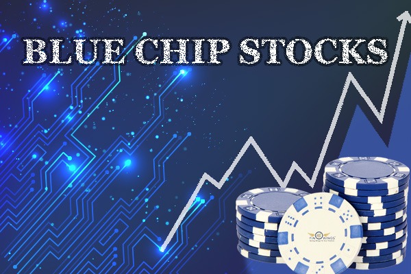 Blue Chip Stocks: 4 Best Blue Chip Stocks to Buy in 2023-24